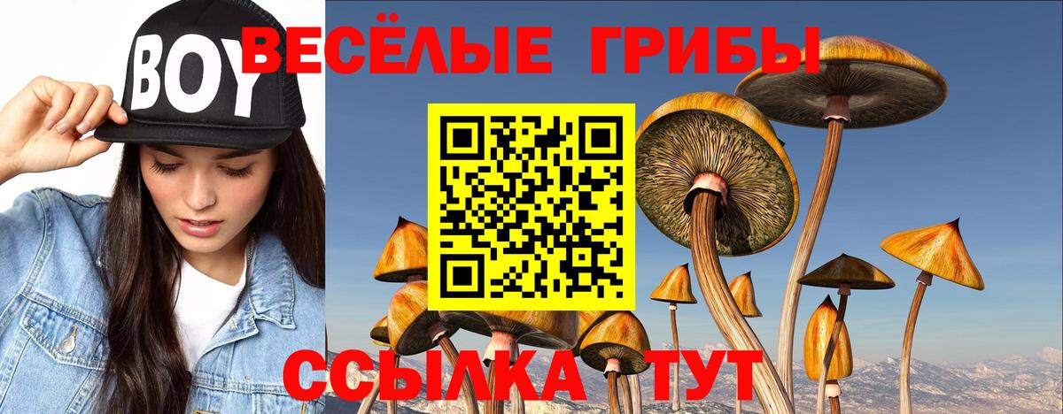 Галлюциногенные грибы Magic Shrooms  Псилоцибиновые грибы Magic Shrooms  Вход с VPN  Мурино 